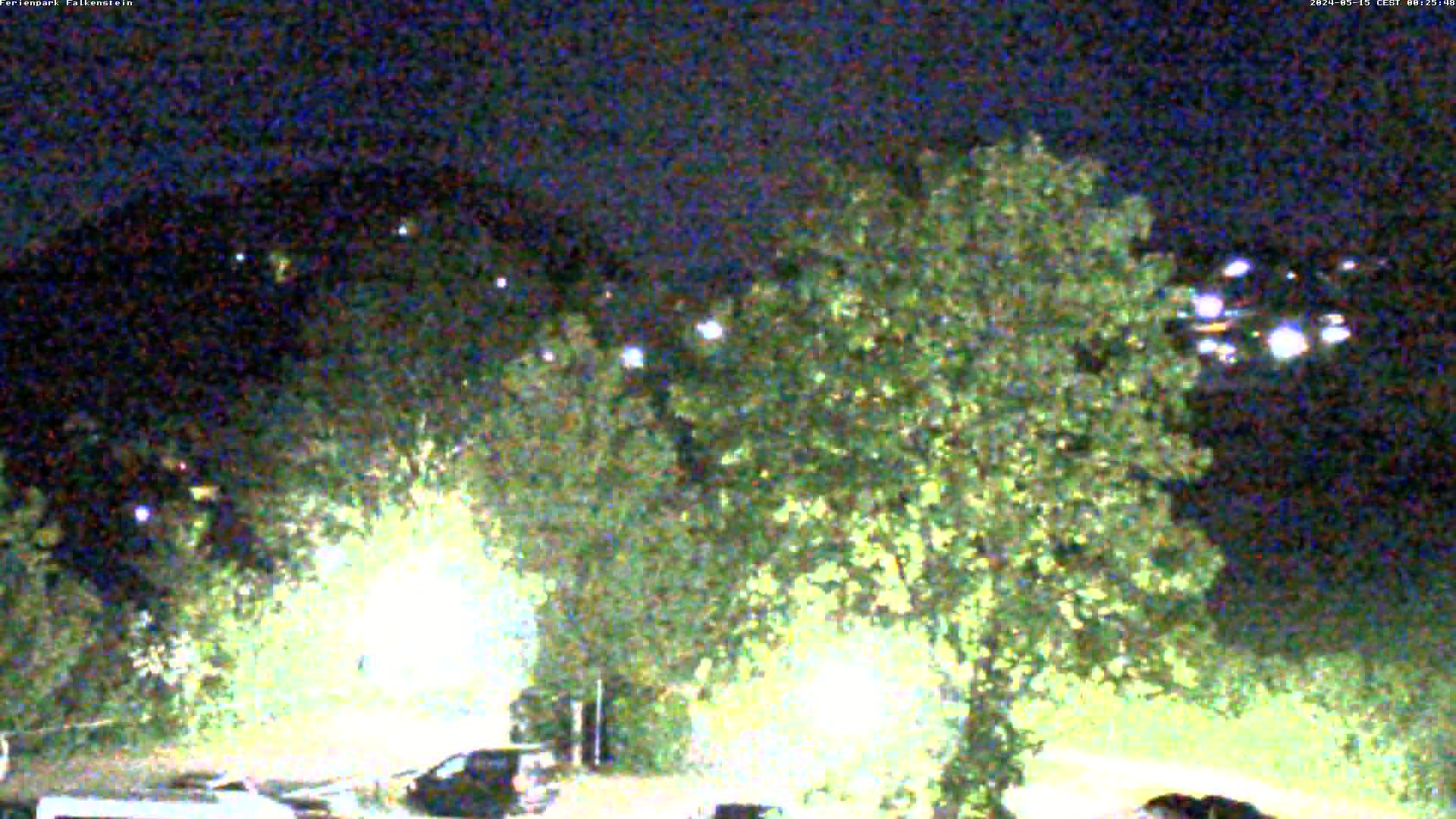 Aktuelles Bild der Webcam im Ferienpark Falkenstein im Bayerischen Wald