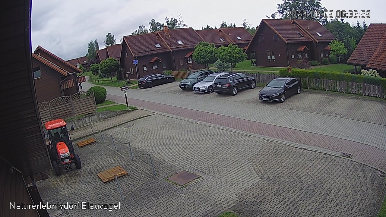 Aktuelles Bild der Webcam im Naturerlebnisdorf Blauvogel in Hasselfelde im Harz