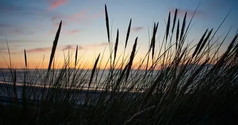 Ferienwohnungen und Ferienhäuser in Deutschland - H&P Touristik