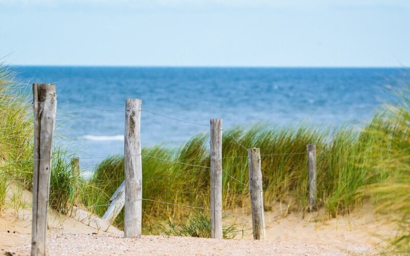 Dünen mit Strandhafer und Blick auf die Nordsee