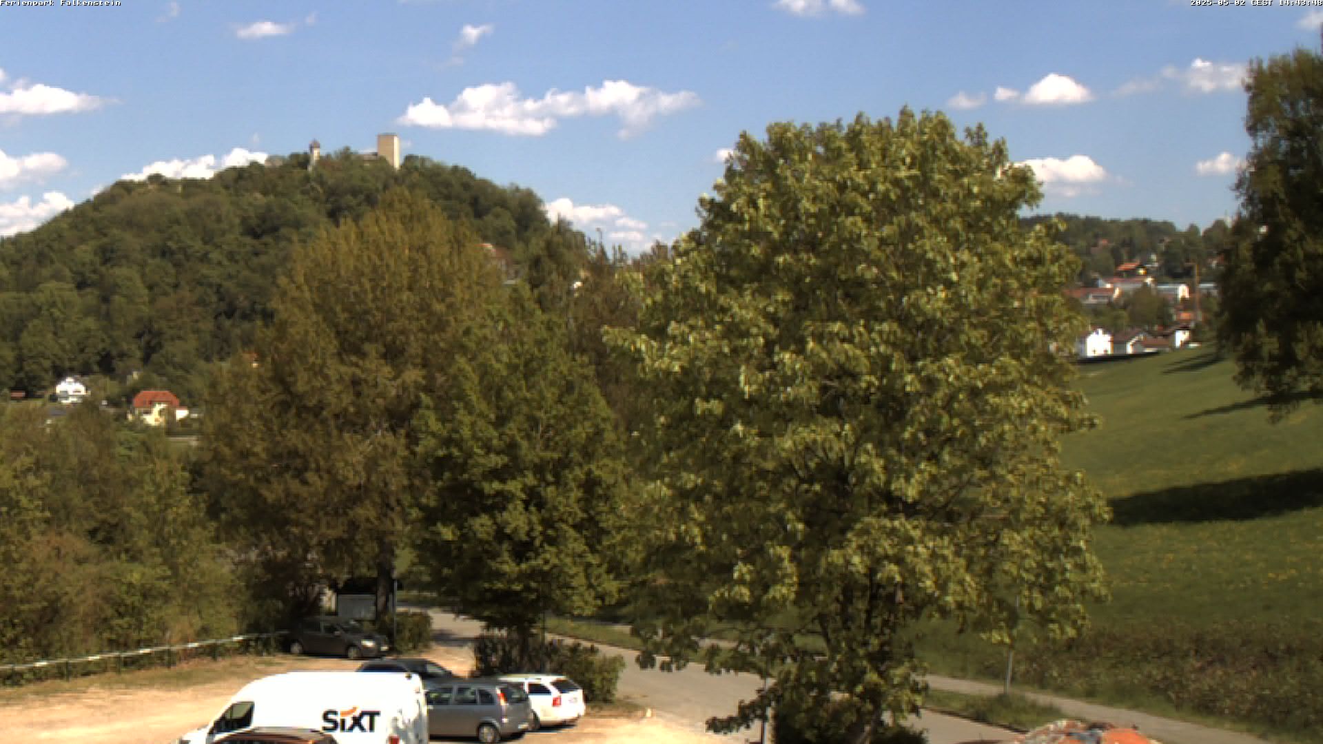 Aktuelles Bild der Webcam im Ferienpark Falkenstein im Bayerischen Wald