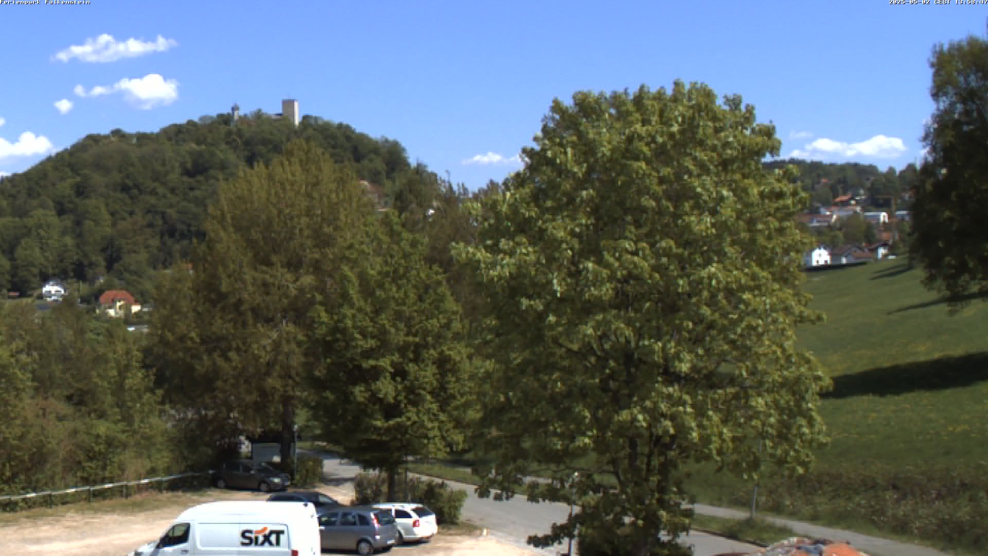 Aktuelles Bild der Webcam im Ferienpark Falkenstein im Bayerischen Wald