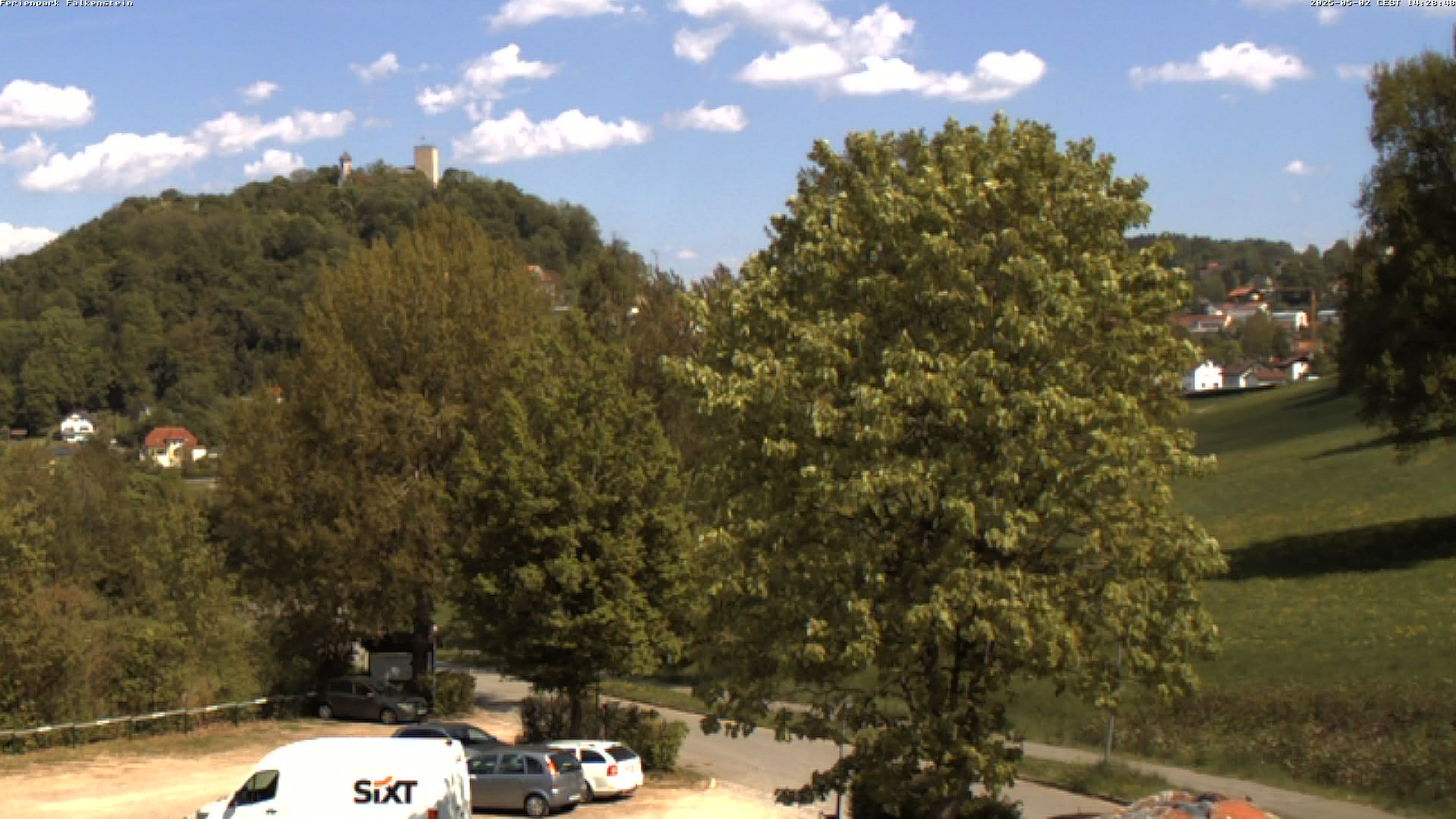 Aktuelles Bild der Webcam im Ferienpark Falkenstein im Bayerischen Wald