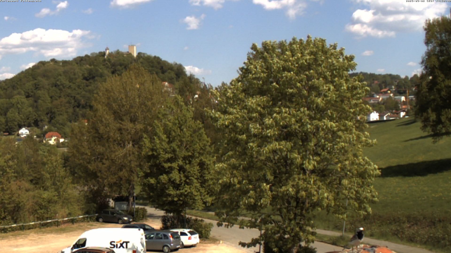 Aktuelles Bild der Webcam im Ferienpark Falkenstein im Bayerischen Wald