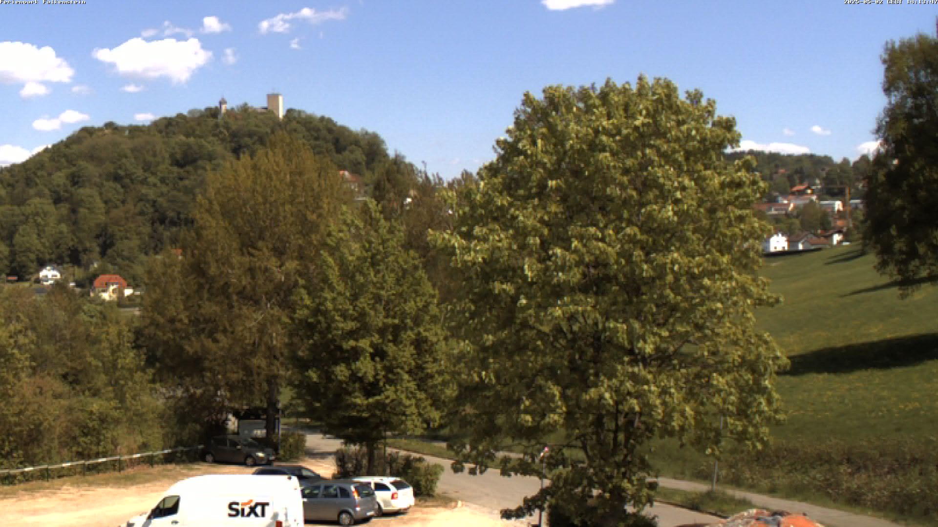 Aktuelles Bild der Webcam im Ferienpark Falkenstein im Bayerischen Wald