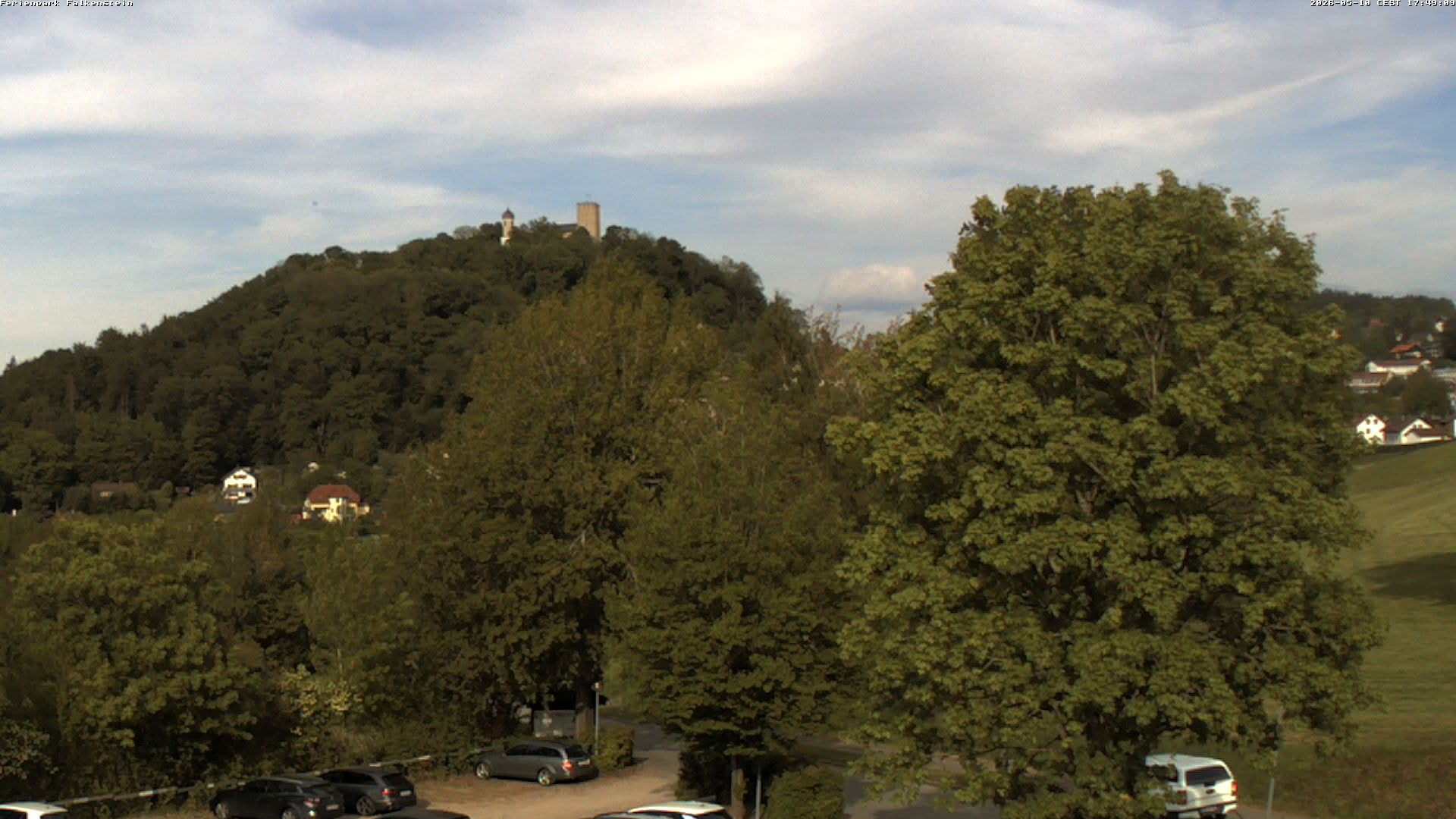Aktuelles Bild der Webcam im Ferienpark Falkenstein im Bayerischen Wald