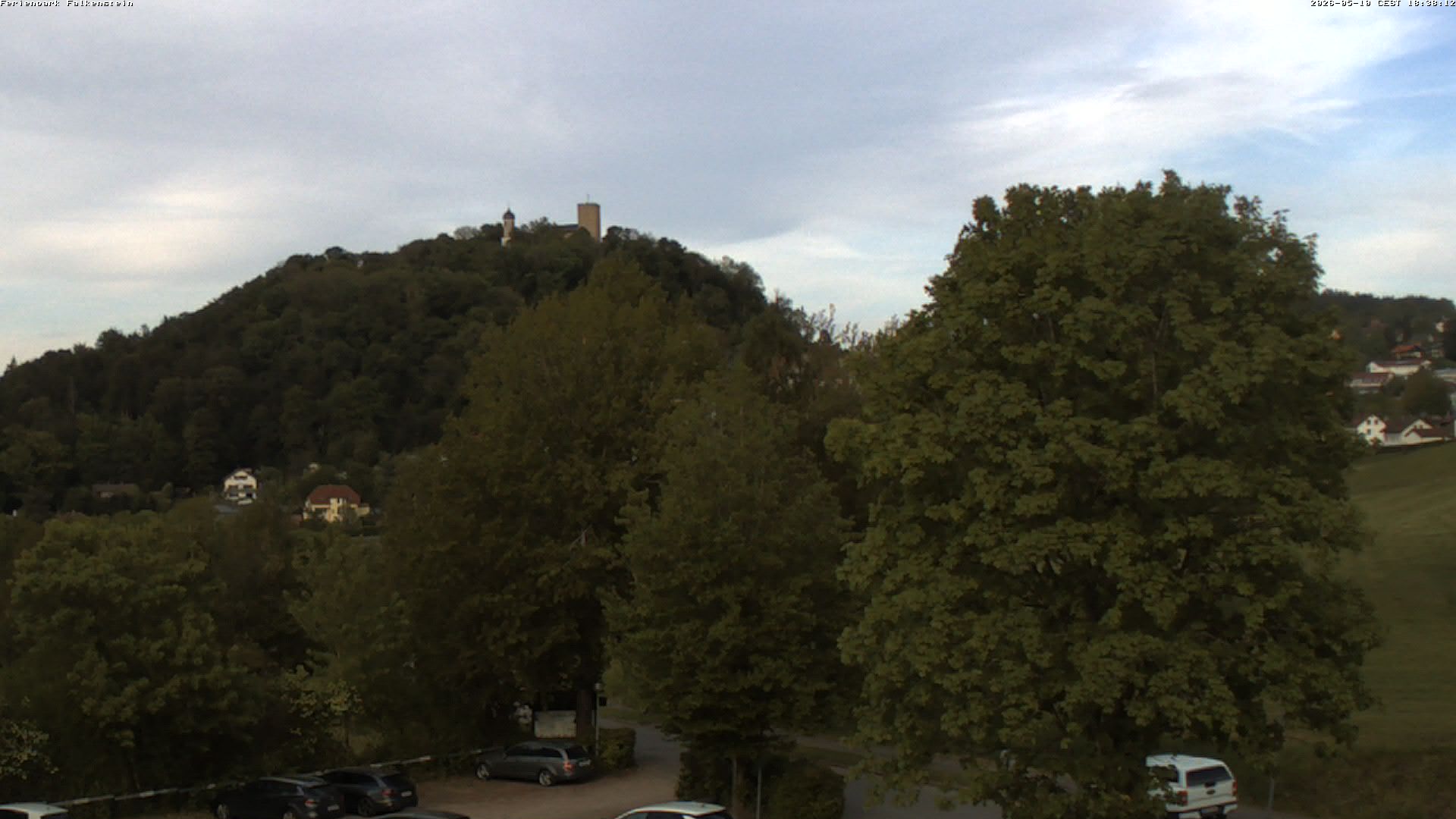 Aktuelles Bild der Webcam im Ferienpark Falkenstein im Bayerischen Wald