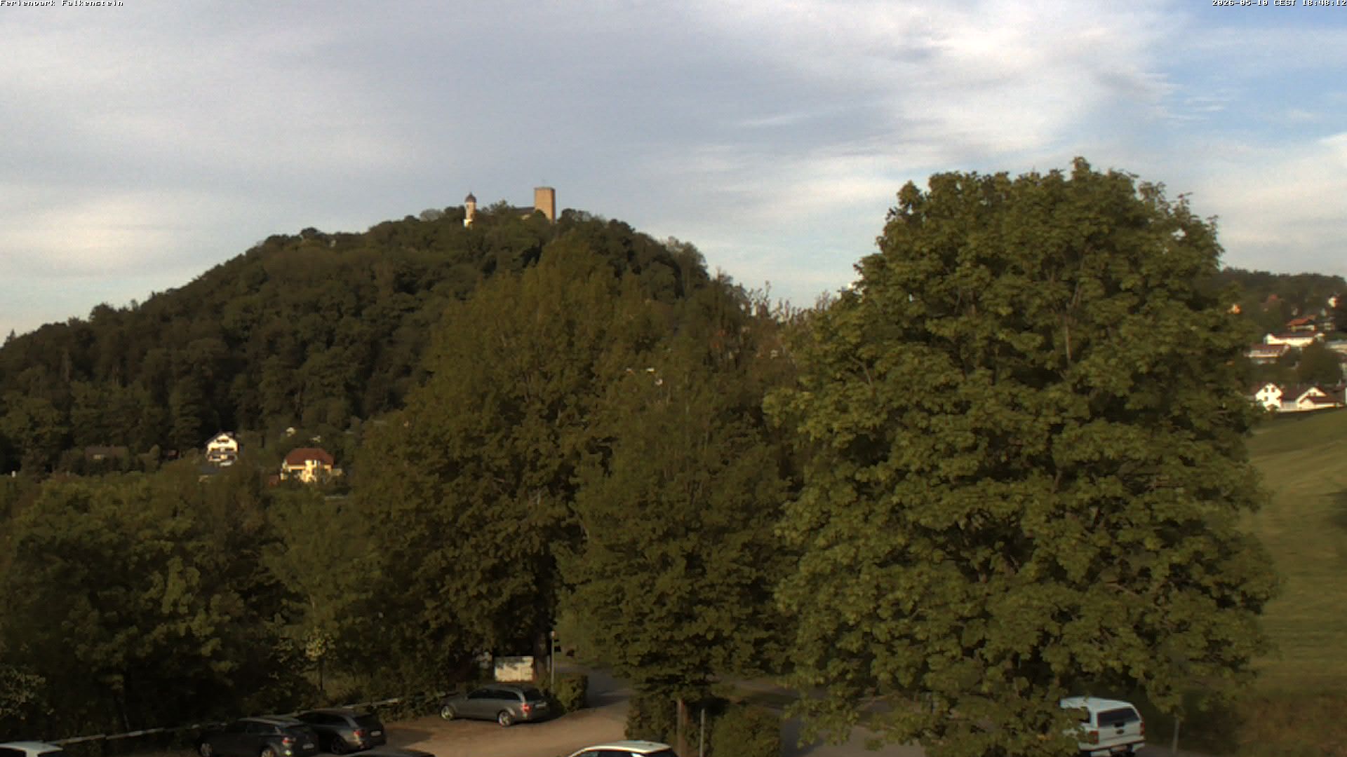 Aktuelles Bild der Webcam im Ferienpark Falkenstein im Bayerischen Wald