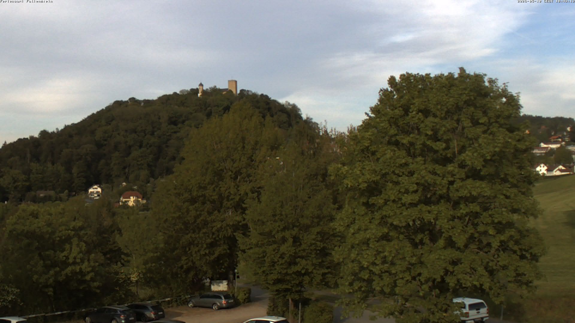 Aktuelles Bild der Webcam im Ferienpark Falkenstein im Bayerischen Wald