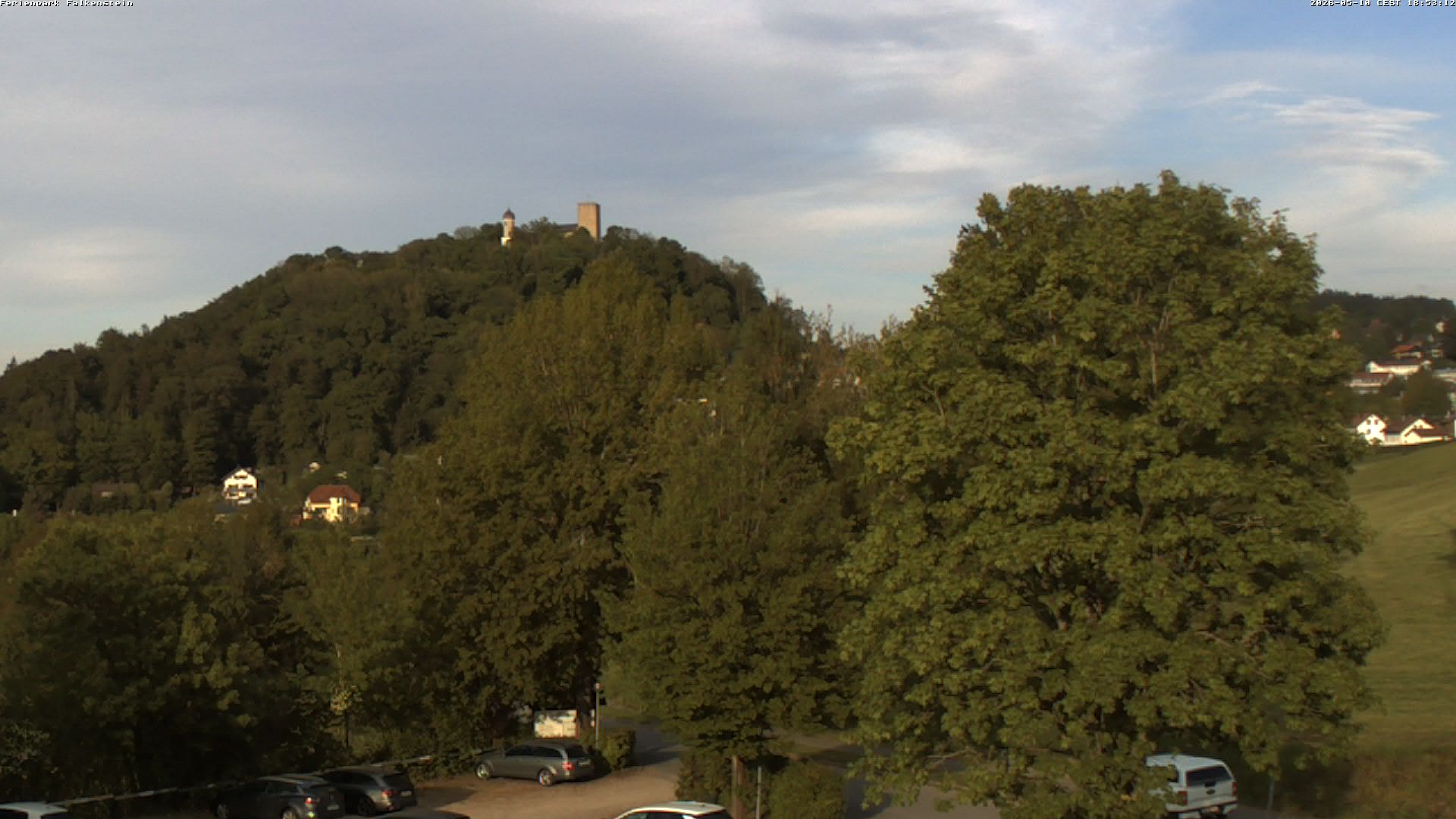 Aktuelles Bild der Webcam im Ferienpark Falkenstein im Bayerischen Wald