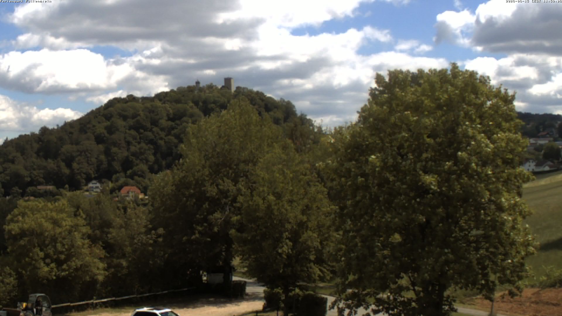 Aktuelles Bild der Webcam im Ferienpark Falkenstein im Bayerischen Wald