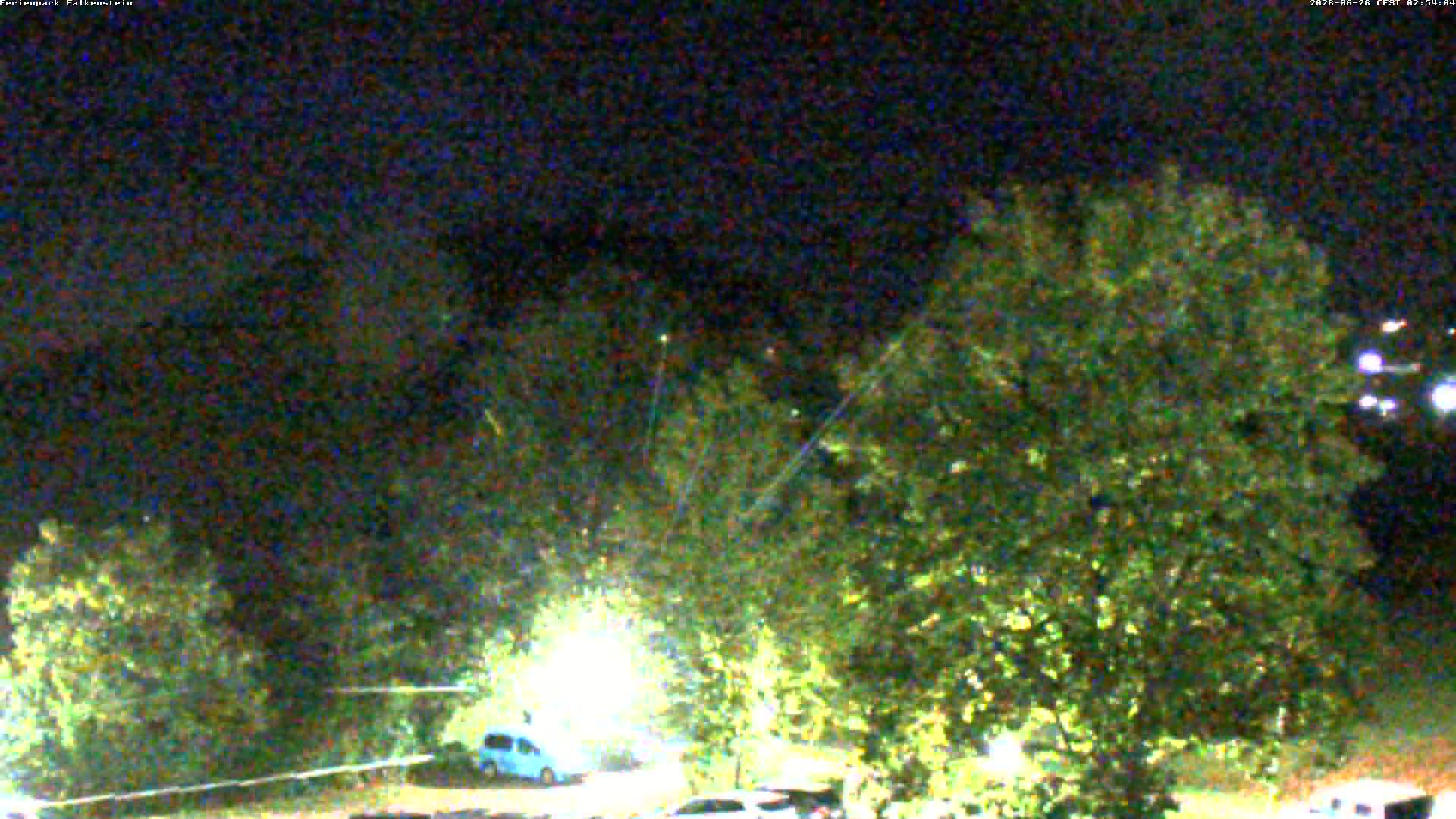 Aktuelles Bild der Webcam im Ferienpark Falkenstein im Bayerischen Wald