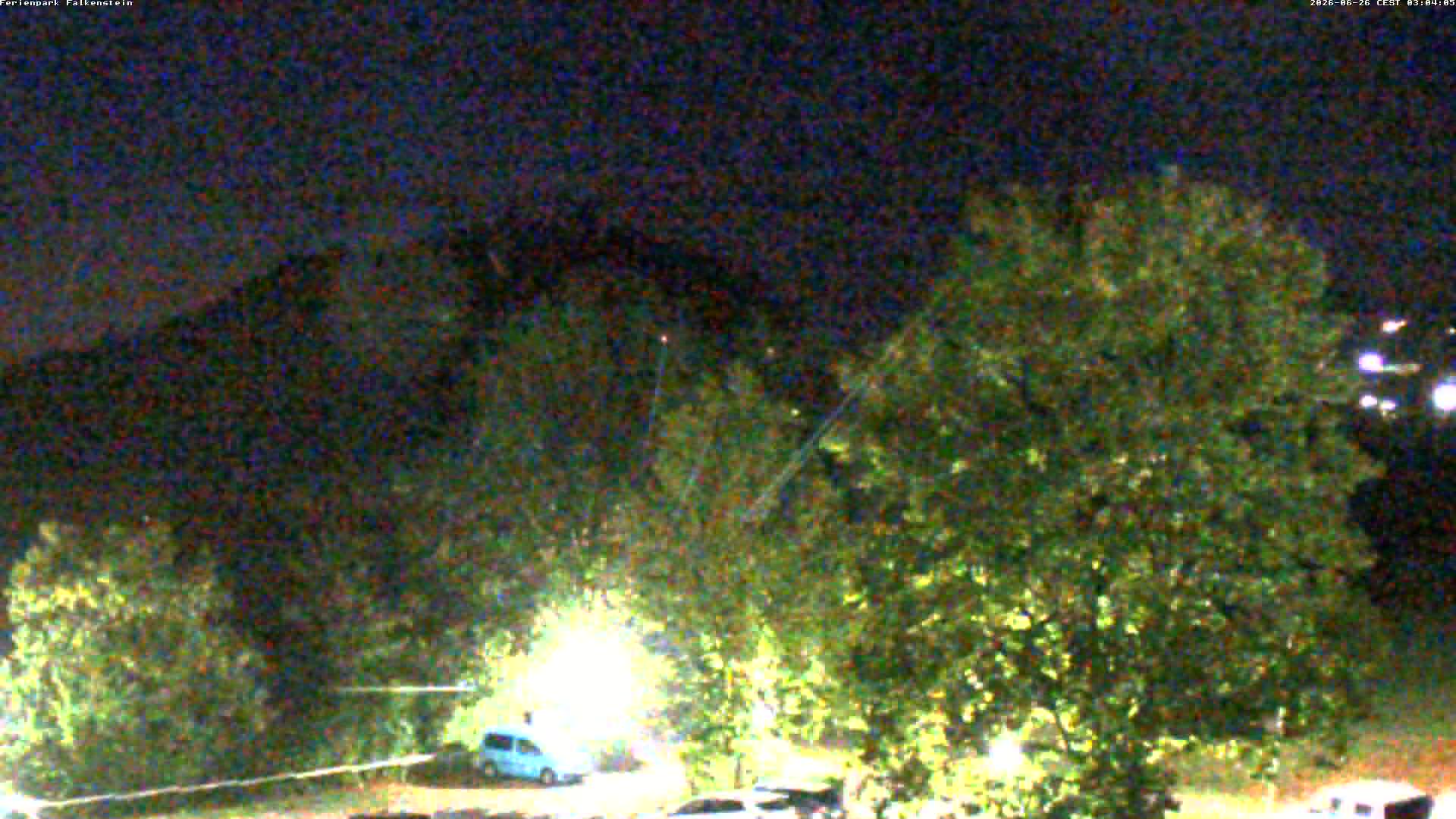 Aktuelles Bild der Webcam im Ferienpark Falkenstein im Bayerischen Wald