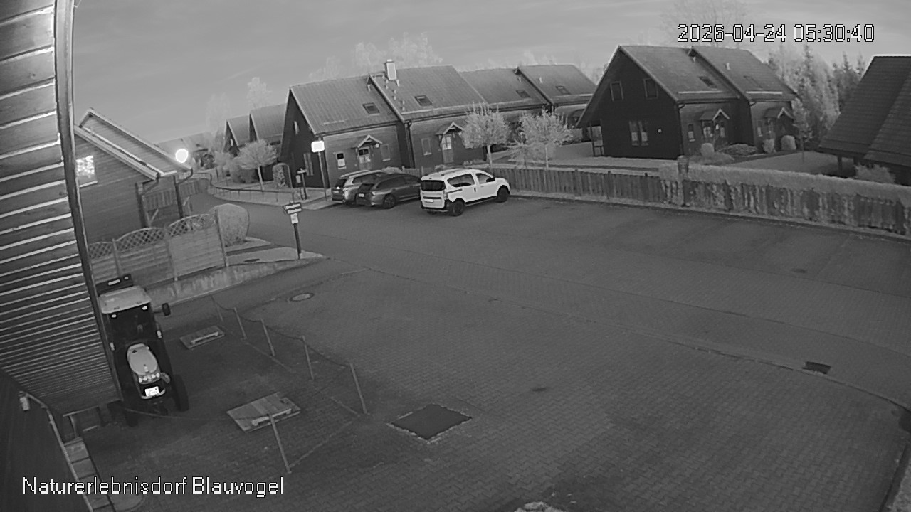 Aktuelles Bild der Webcam im Naturerlebnisdorf Blauvogel in Hasselfelde im Harz