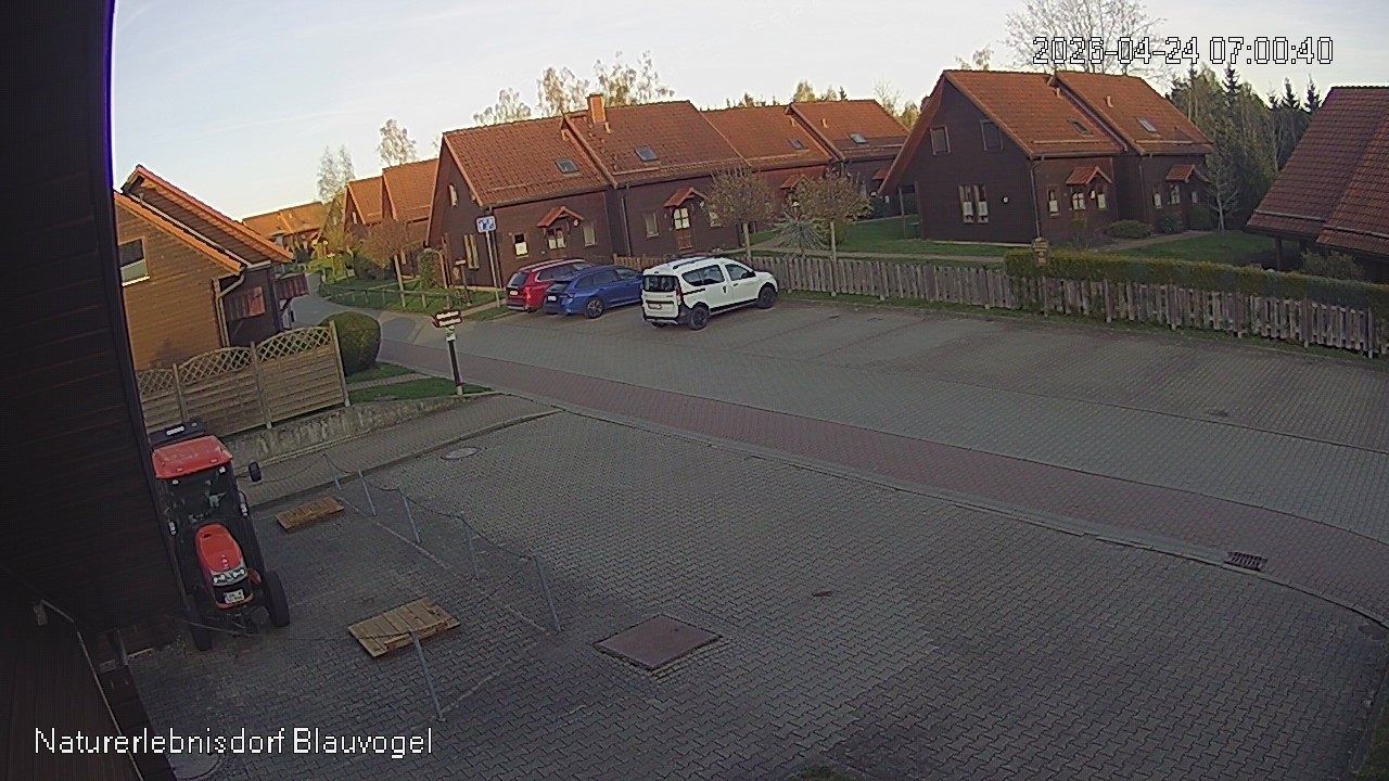 Aktuelles Bild der Webcam im Naturerlebnisdorf Blauvogel in Hasselfelde im Harz