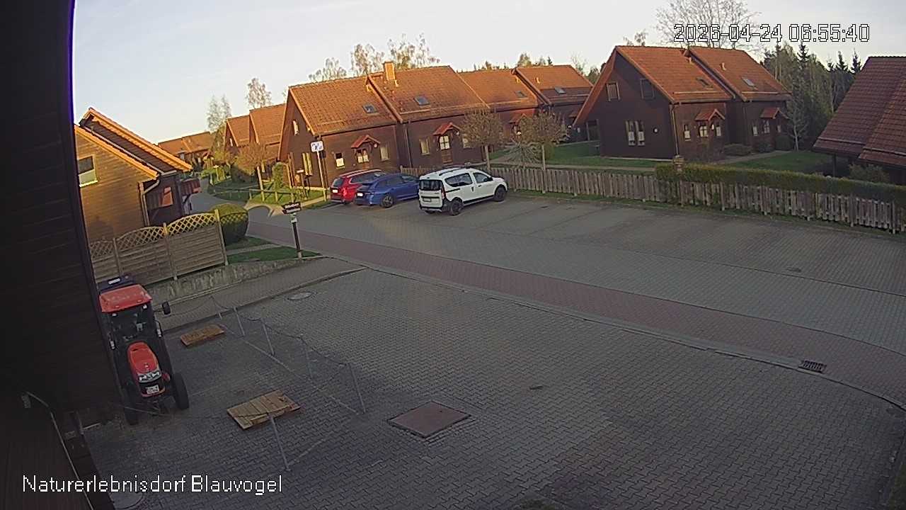 Aktuelles Bild der Webcam im Naturerlebnisdorf Blauvogel in Hasselfelde im Harz