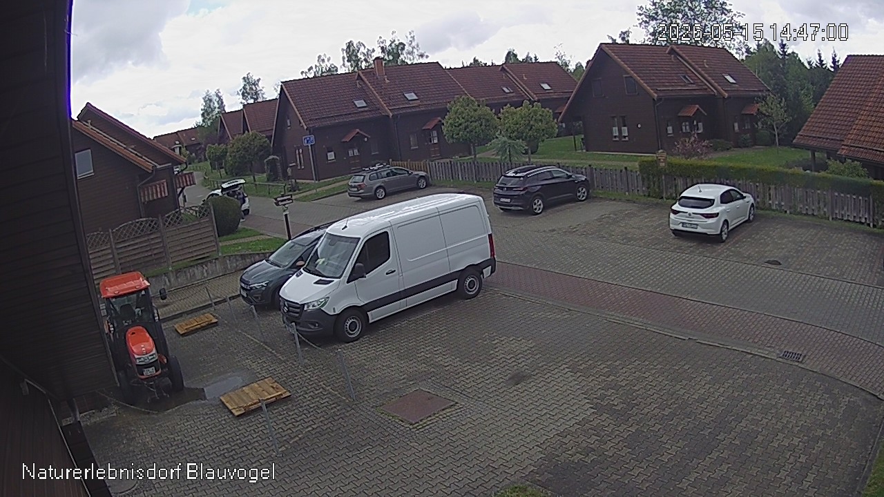 Aktuelles Bild der Webcam im Naturerlebnisdorf Blauvogel in Hasselfelde im Harz
