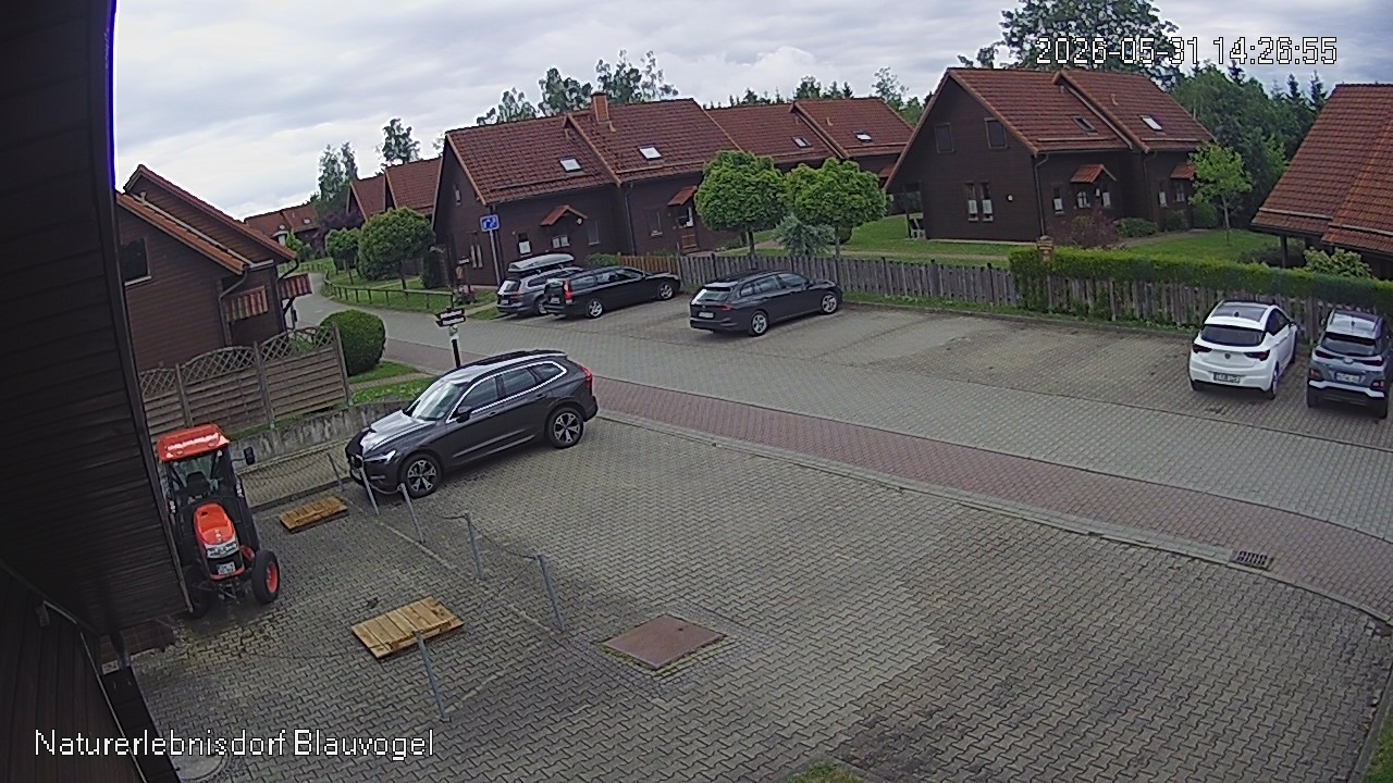Aktuelles Bild der Webcam im Naturerlebnisdorf Blauvogel in Hasselfelde im Harz
