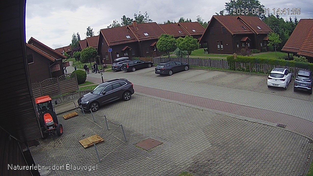 Aktuelles Bild der Webcam im Naturerlebnisdorf Blauvogel in Hasselfelde im Harz