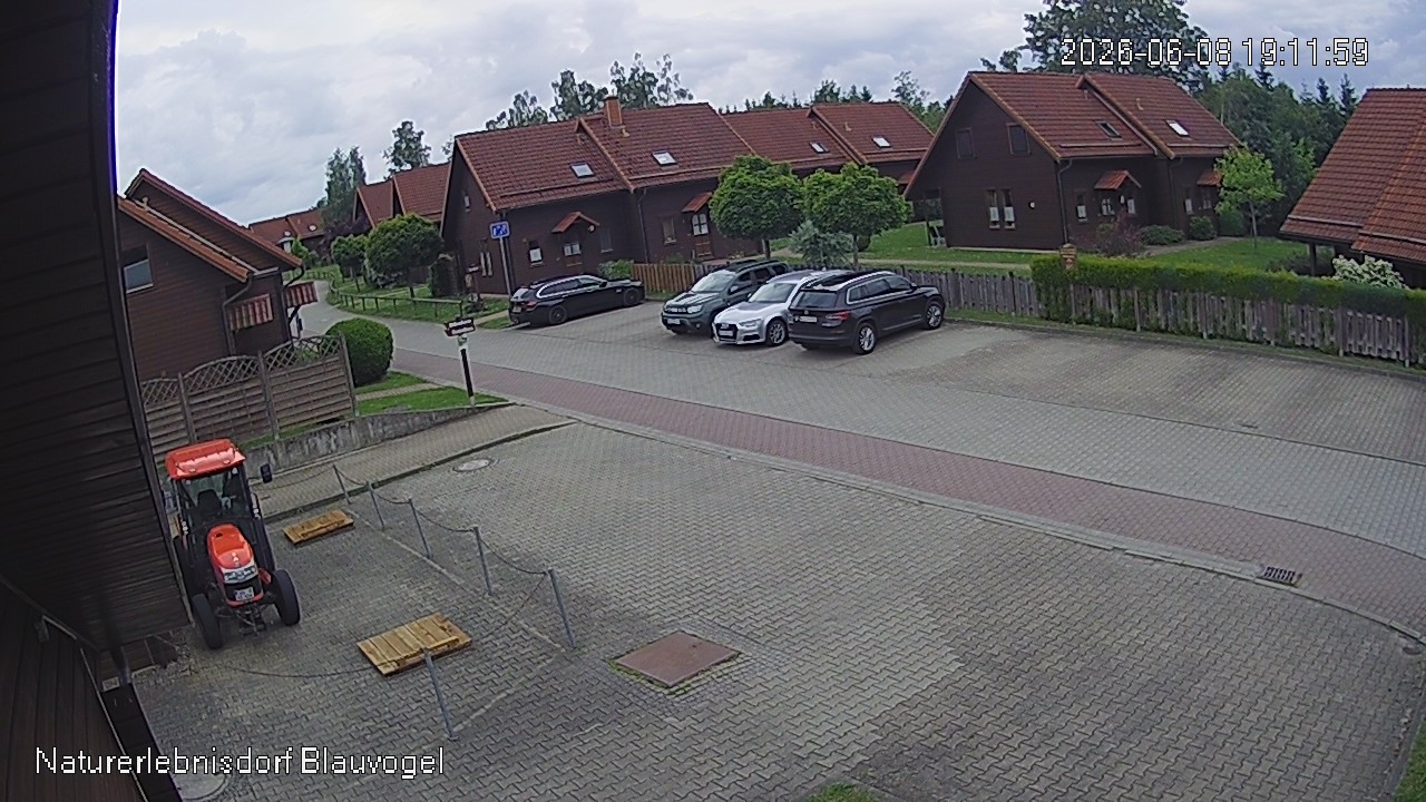 Aktuelles Bild der Webcam im Naturerlebnisdorf Blauvogel in Hasselfelde im Harz