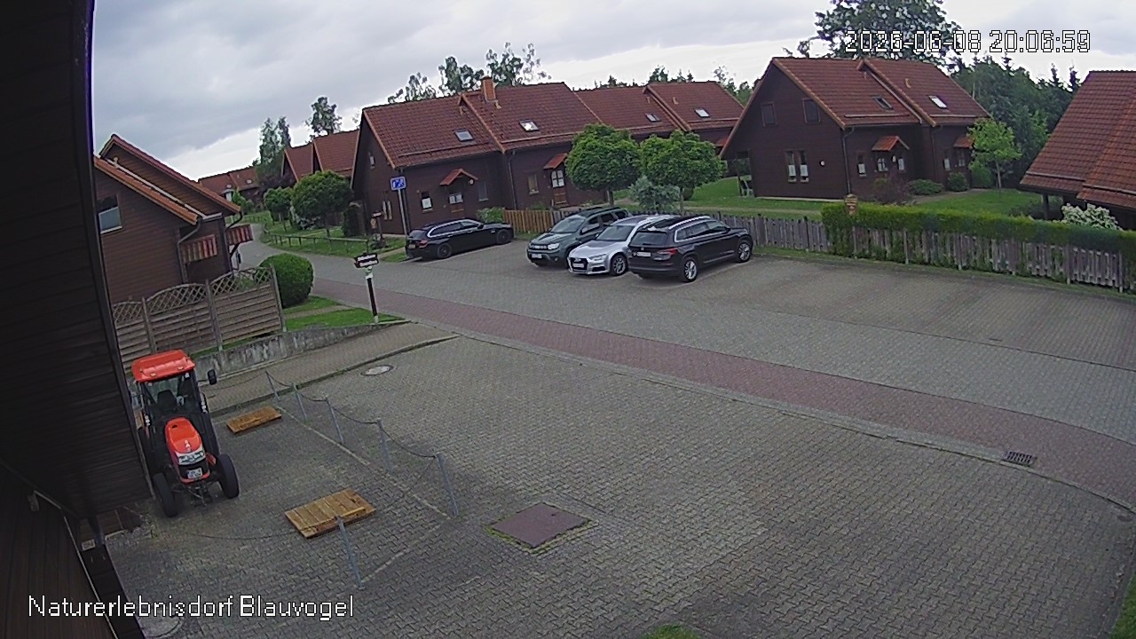 Aktuelles Bild der Webcam im Naturerlebnisdorf Blauvogel in Hasselfelde im Harz