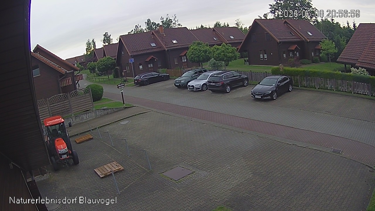 Aktuelles Bild der Webcam im Naturerlebnisdorf Blauvogel in Hasselfelde im Harz