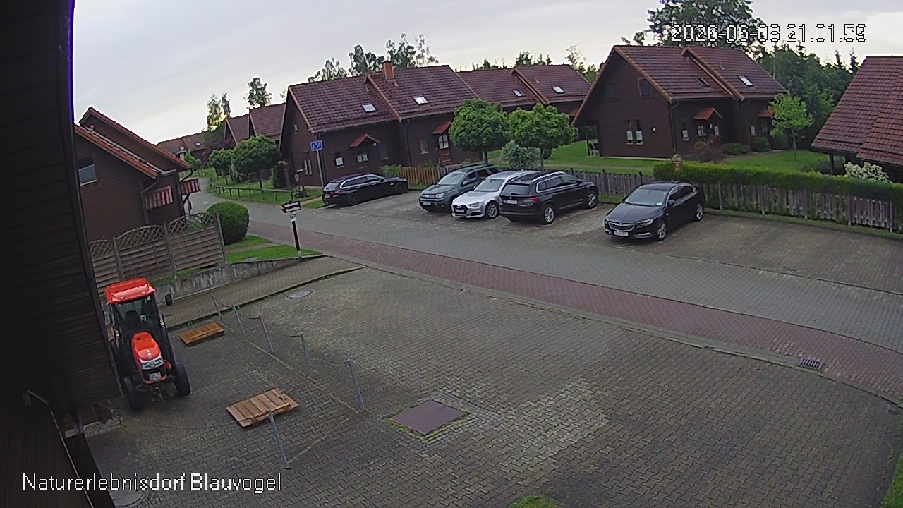 Aktuelles Bild der Webcam im Naturerlebnisdorf Blauvogel in Hasselfelde im Harz