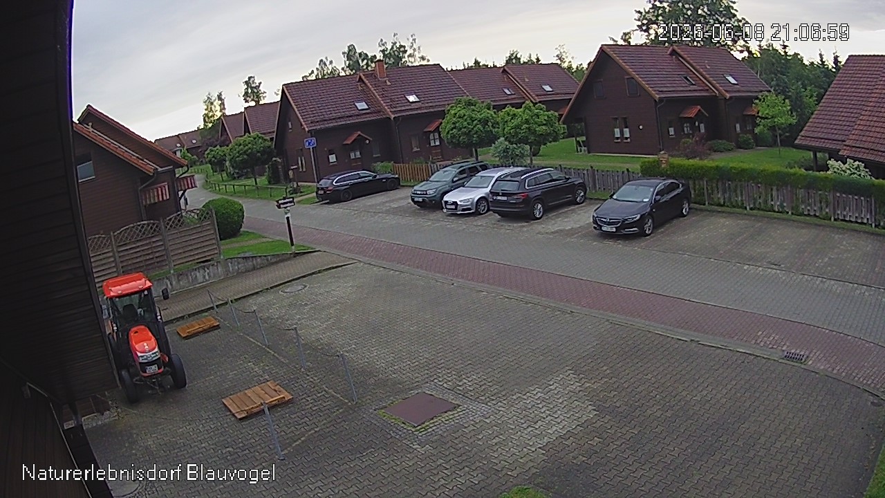 Aktuelles Bild der Webcam im Naturerlebnisdorf Blauvogel in Hasselfelde im Harz