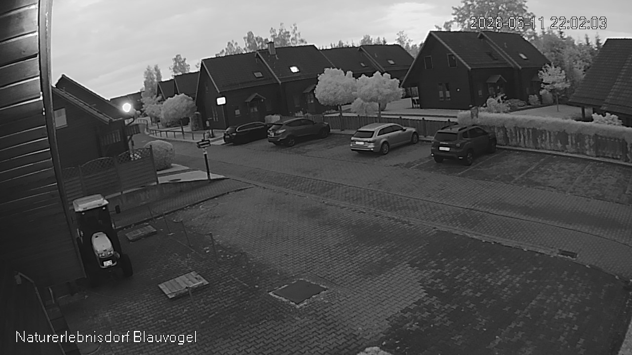 Aktuelles Bild der Webcam im Naturerlebnisdorf Blauvogel in Hasselfelde im Harz