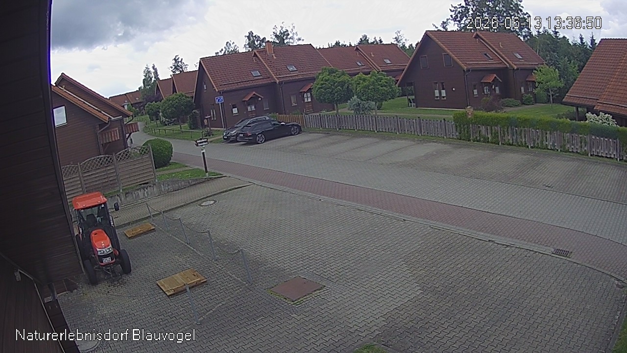 Aktuelles Bild der Webcam im Naturerlebnisdorf Blauvogel in Hasselfelde im Harz