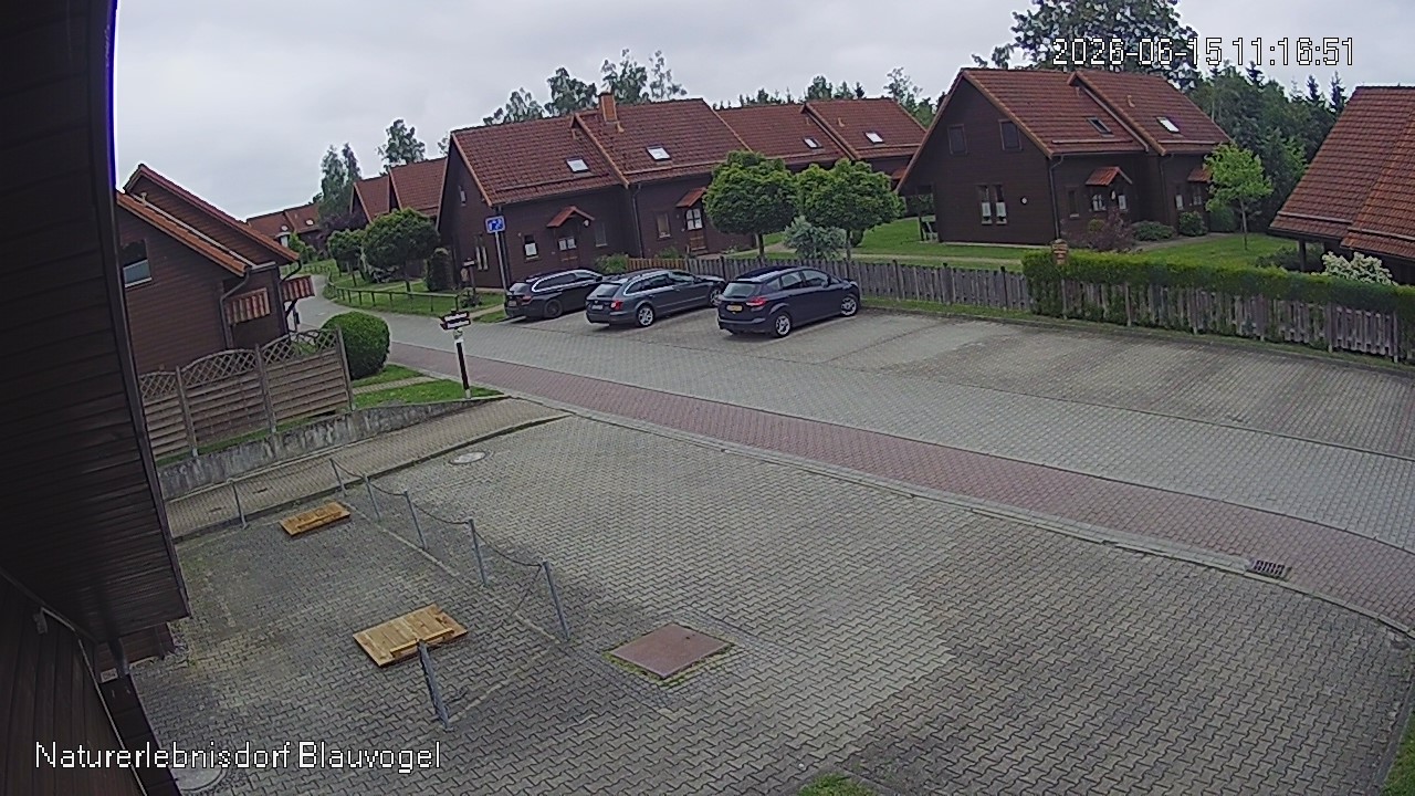 Aktuelles Bild der Webcam im Naturerlebnisdorf Blauvogel in Hasselfelde im Harz
