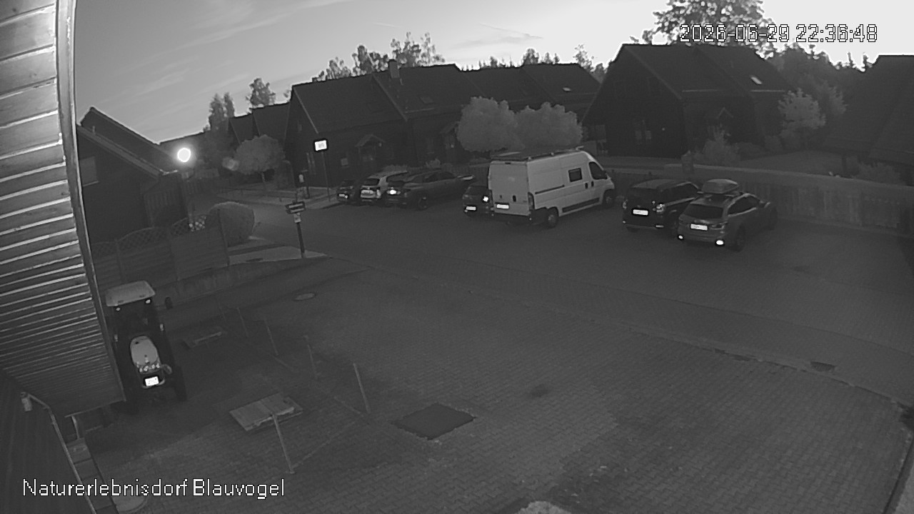 Aktuelles Bild der Webcam im Naturerlebnisdorf Blauvogel in Hasselfelde im Harz