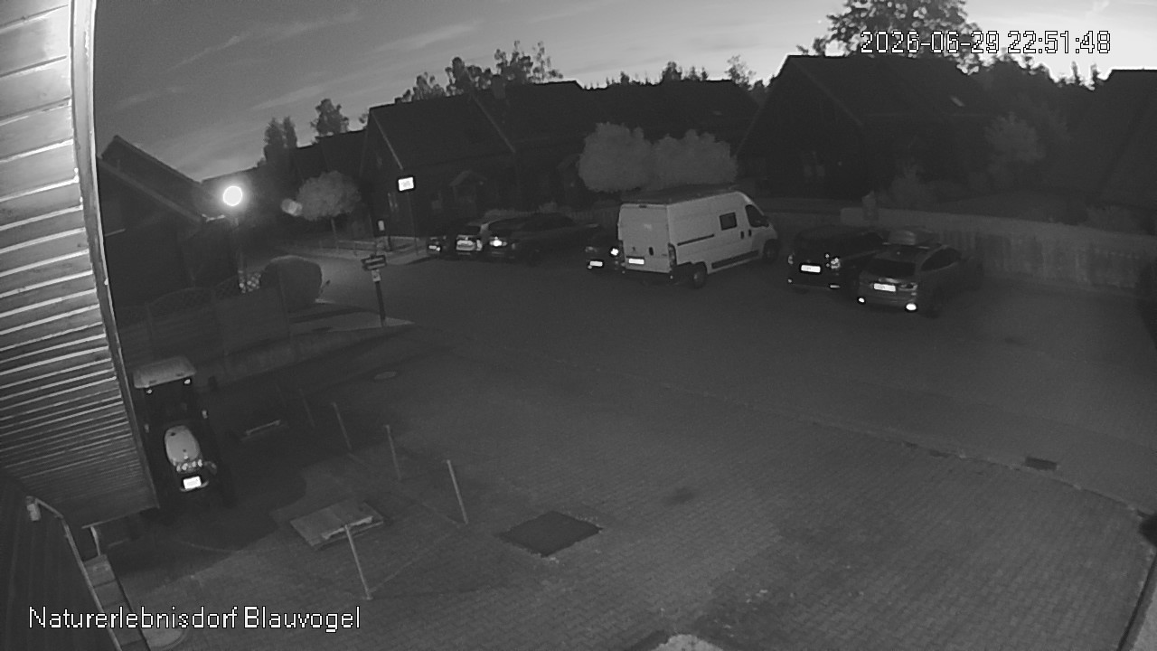 Aktuelles Bild der Webcam im Naturerlebnisdorf Blauvogel in Hasselfelde im Harz