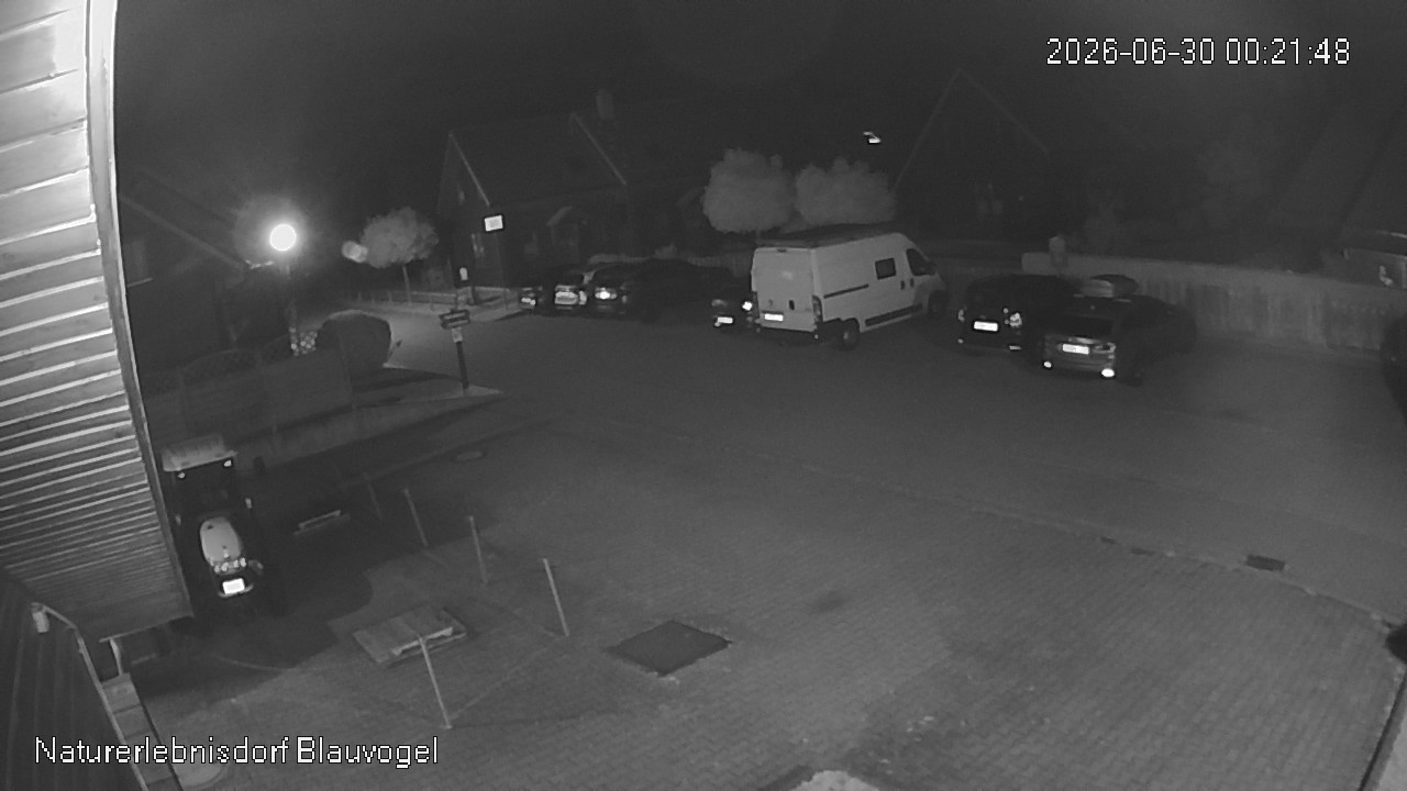 Aktuelles Bild der Webcam im Naturerlebnisdorf Blauvogel in Hasselfelde im Harz
