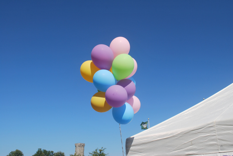 Bild von PublicDomainPictures auf Pixabay