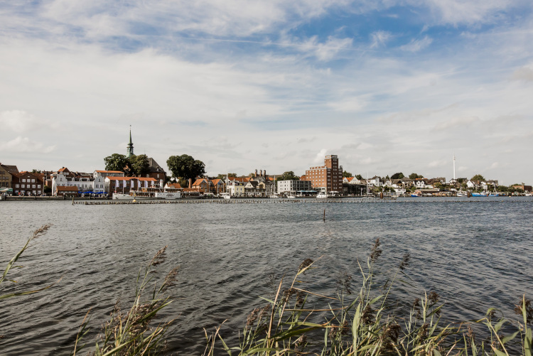 Heringszaun in Kappeln