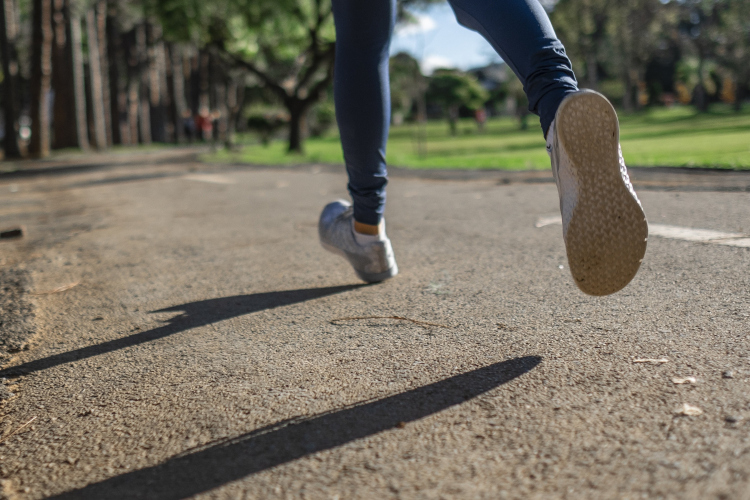 Bild von Daniel Reche auf Pixabay