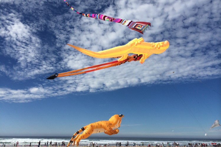 Bunte Flugdrachen über dem Strand