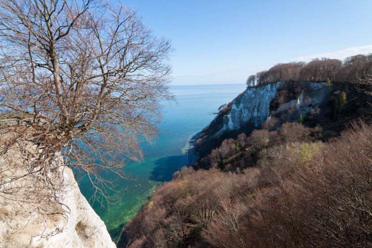 Kreidefelsen auf Rügen