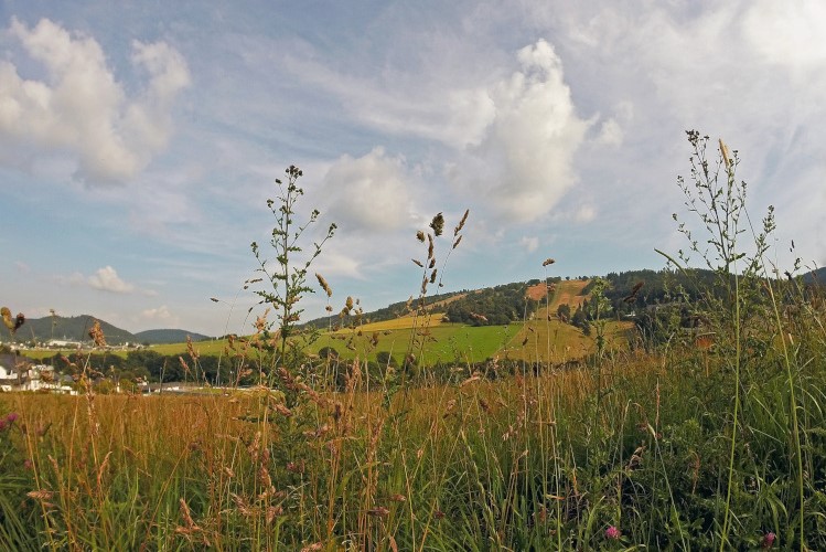 Ettelsberg by Maurice Müller from pixabay