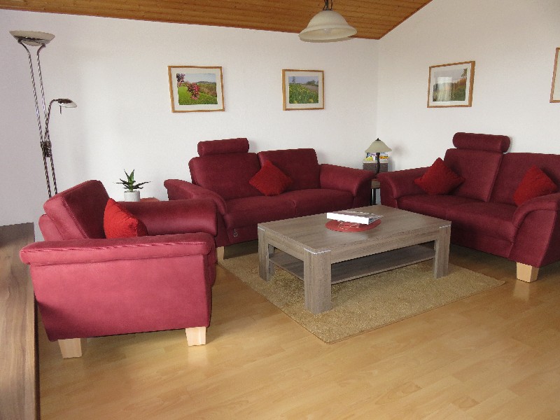 Großzügiges Wohnzimmer